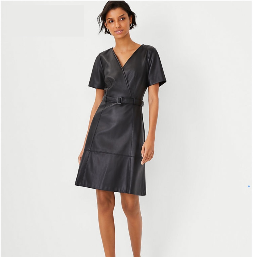 NWT LBD Faux Leather Belted Flare Dress Size 10 Ann Taylor New